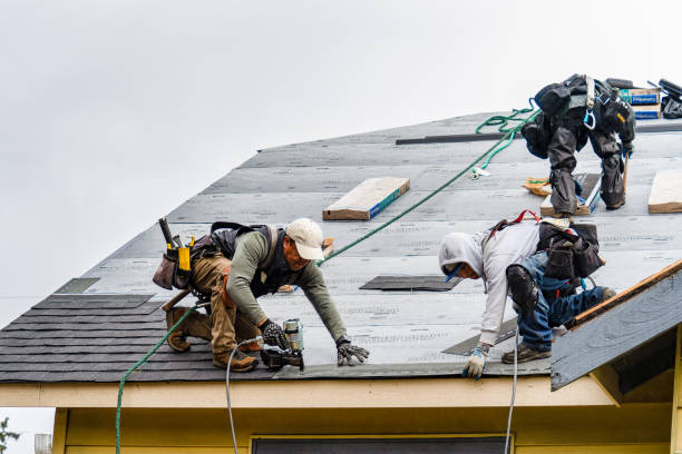 Professional Emergency Roof Repair technician working in Lewistown, IL